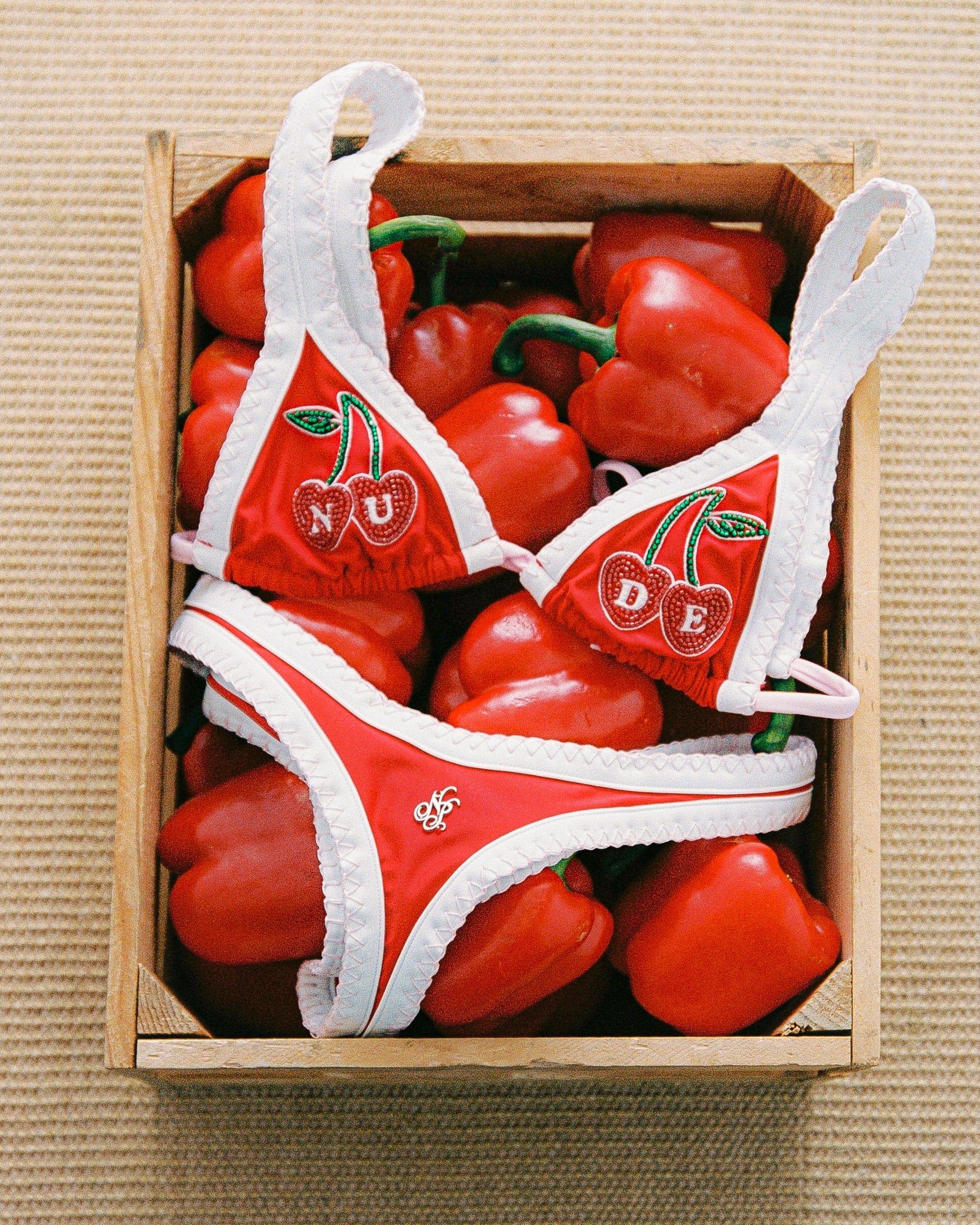 Coralite Bikini Top Red